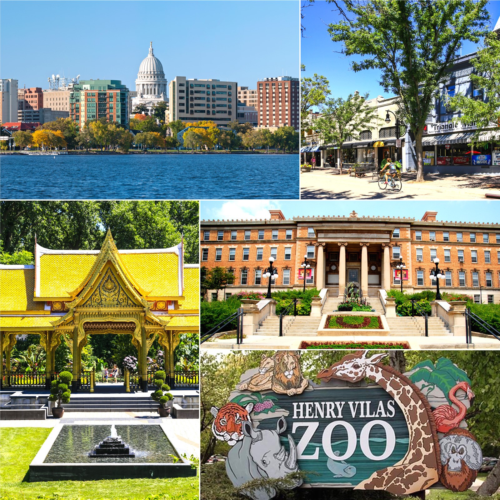 collage image Madison